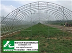 大棚建設(shè)   有立柱蔬菜大棚   壽光市萬禾農(nóng)業(yè)
