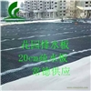 常德樓頂花園排水板#20cm疏水板供應