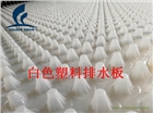 漳州排水板價格漳州排水板型號